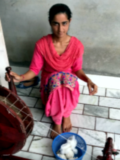 Ramandeep Kaur (23)